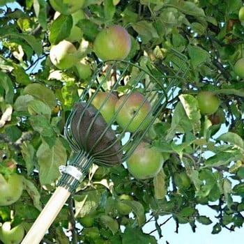 Apple Picker