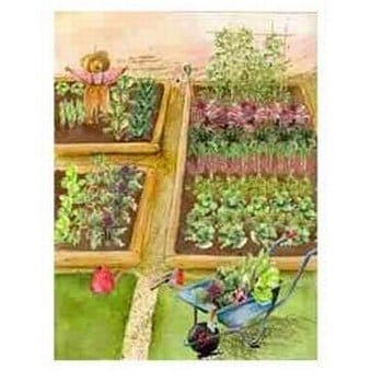 Autumn/Winter Raised Bed Garden