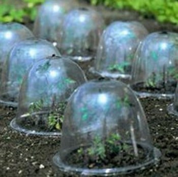 Baby Victorian Bell Cloches (3 Pack)