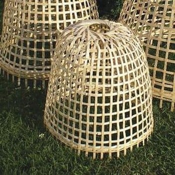 Bamboo Cloche - Small