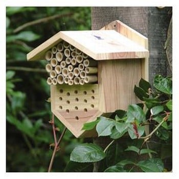 Bee and Ladybird Box