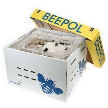 Beepol Bumblebee Hive