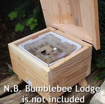 Beepol Bumblebee Hive