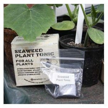 Bio Seedling Stimulator