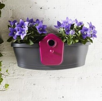 Bird Box Planter