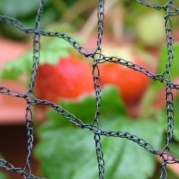 Bird Netting