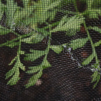 Black Insect Mesh Netting