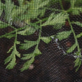 Black Insect Mesh Netting