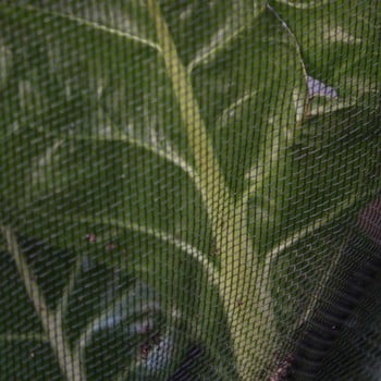 Black Insect Mesh Netting