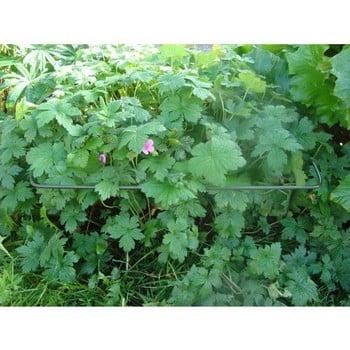 Border Edge Pack of 3