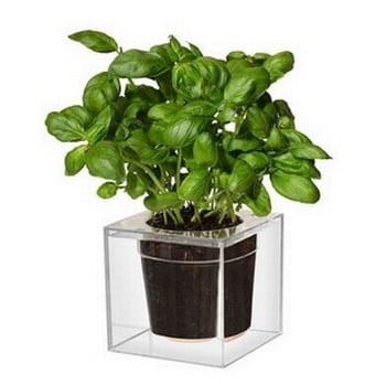 Boskke Cube Self Watering Planter Boskke Cube Self Watering Planter