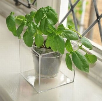 Boskke Cube Self Watering Planter