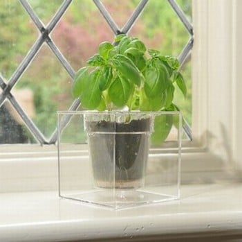 Boskke Cube Self Watering Planter Boskke Cube Self Watering Planter