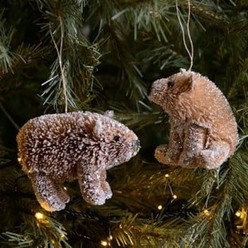 Bristle Bear Tree Decorations (set of 2) by Gisela Graham