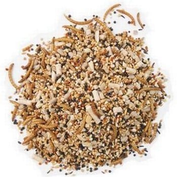 British Finch Mix