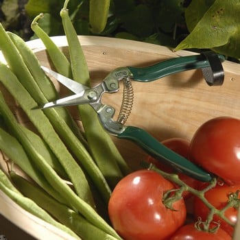 Burgon and Ball Flower and Fruit Snips