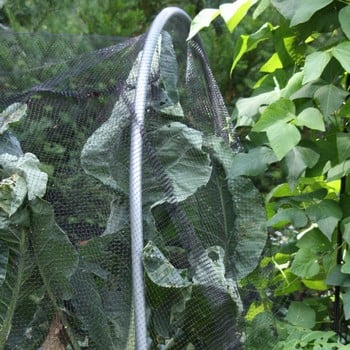 Butterfly Netting Rigid Plastic Mesh