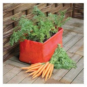 Carrot Patio Planters