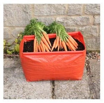 Carrot Patio Planters