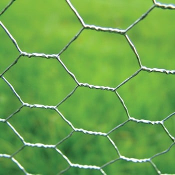 Chicken Wire