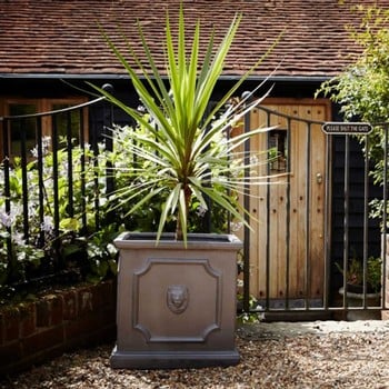 ClayFibre Square Lion Head 45cm Planters (Set of 2) ClayFibre Square Lion Head 45cm Planters (Set of 2)