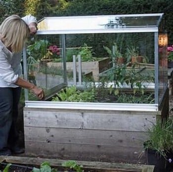 Cold Frame 1.2m x 1.2m