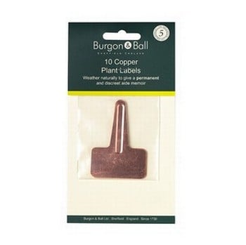 Copper Tees (pack of 10)