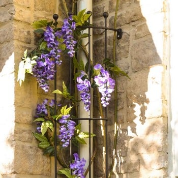 Corner Drainpipe Trellis