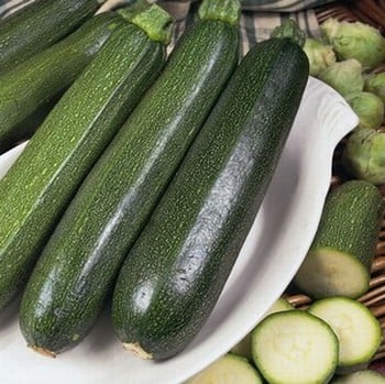 Courgette Green Bush - Organic Plant Packs