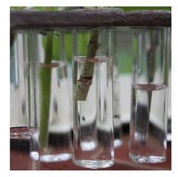 Cuttings Tube Set Cuttings Tube Set