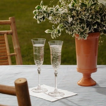 Daphne Optic Crystal Flutes - Set of 6