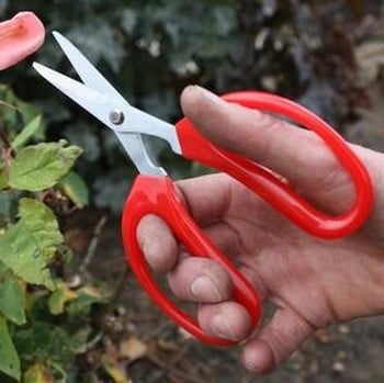 Darlac Softies Garden Scissors