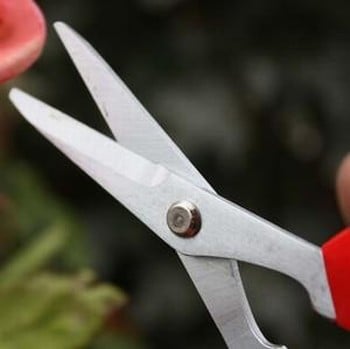 Darlac Softies Garden Scissors