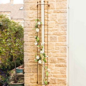 Drainpipe Trellis