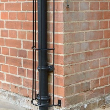 Drainpipe Trellis