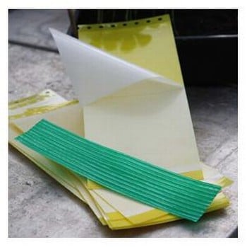 Drystick Greenhouse Sticky Traps Drystick Greenhouse Sticky Traps