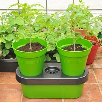 Duo Grow Planter