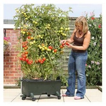 EarthBox® Gardening System (56 litre) EarthBox® Gardening System (56 litre)