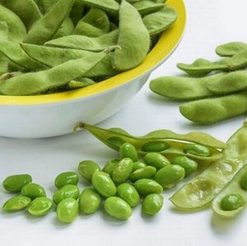 Edamame Bean - Organic Plant Packs