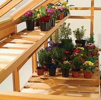 Essential 6ft x 6ft Cedar Greenhouse by Gabriel Ash Essential 6ft x 6ft Cedar Greenhouse by Gabriel Ash