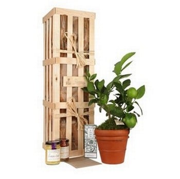 Extra Lemon Gardeners Gift Set