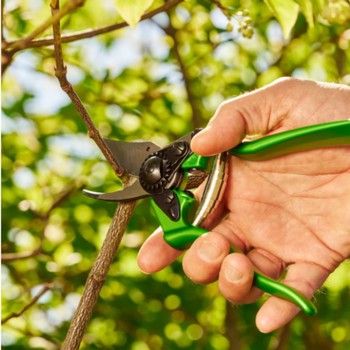 Felco 6 Secateurs - Power Green