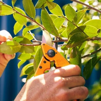 Felco 6 Secateurs - Tangerine Blaze