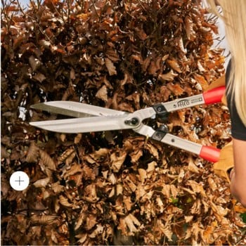 Felco Hedge Shears