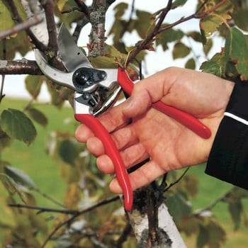 Felco Professional Model 2 Secateur Felco Professional Model 2 Secateur