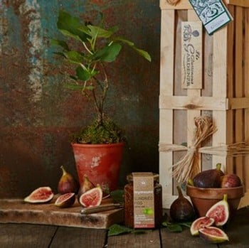 Fig Tree and Jam Gardeners Gift Set