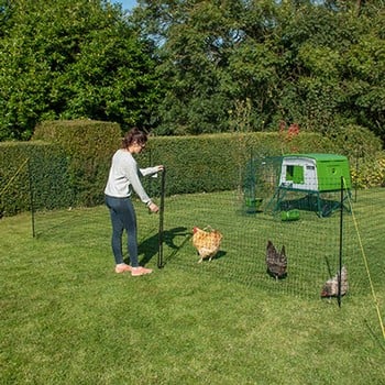 Flexible Chicken Fencing with Gate