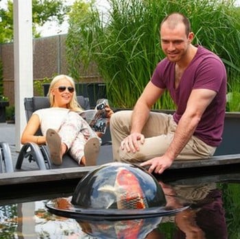 Floating Fish Viewing Sphere Floating Fish Viewing Sphere
