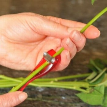 Flower Pot Flower Stem Cutter Flower Pot Flower Stem Cutter