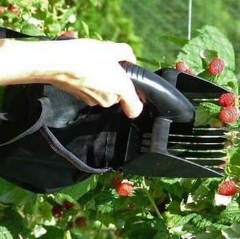 Folding Berry Picker